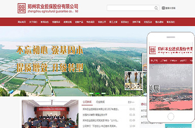 鄭州農業(yè)擔保股份有限公司