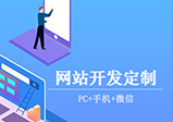企業(yè)網(wǎng)站建設方案的內容